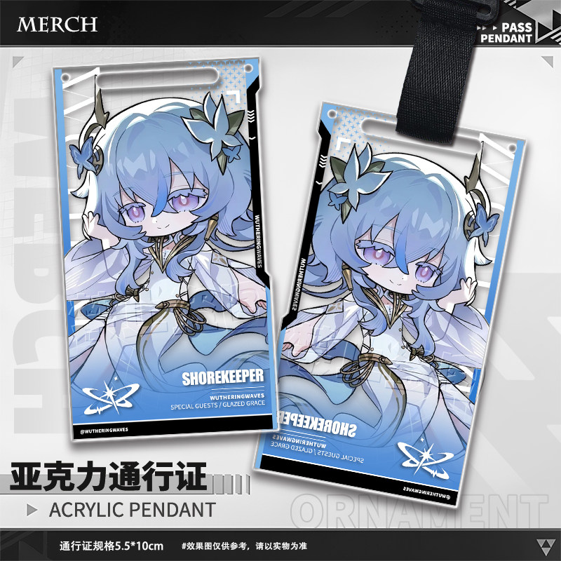 Game Wuthering Waves Aemeath T - огляд і ціна Anime Merchandise Bag